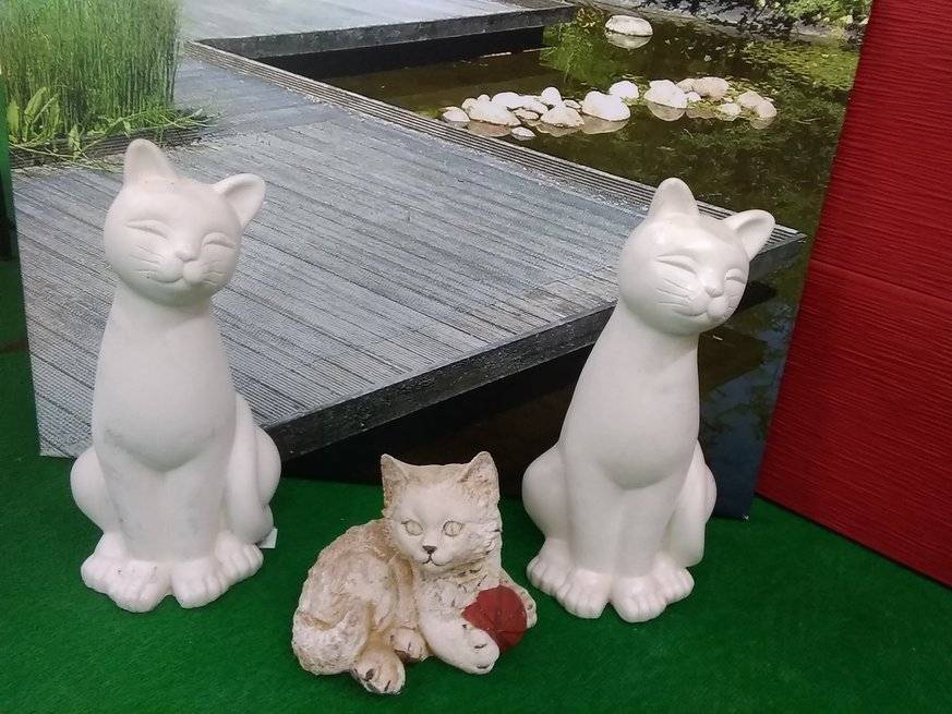 les 3 chats.jpg